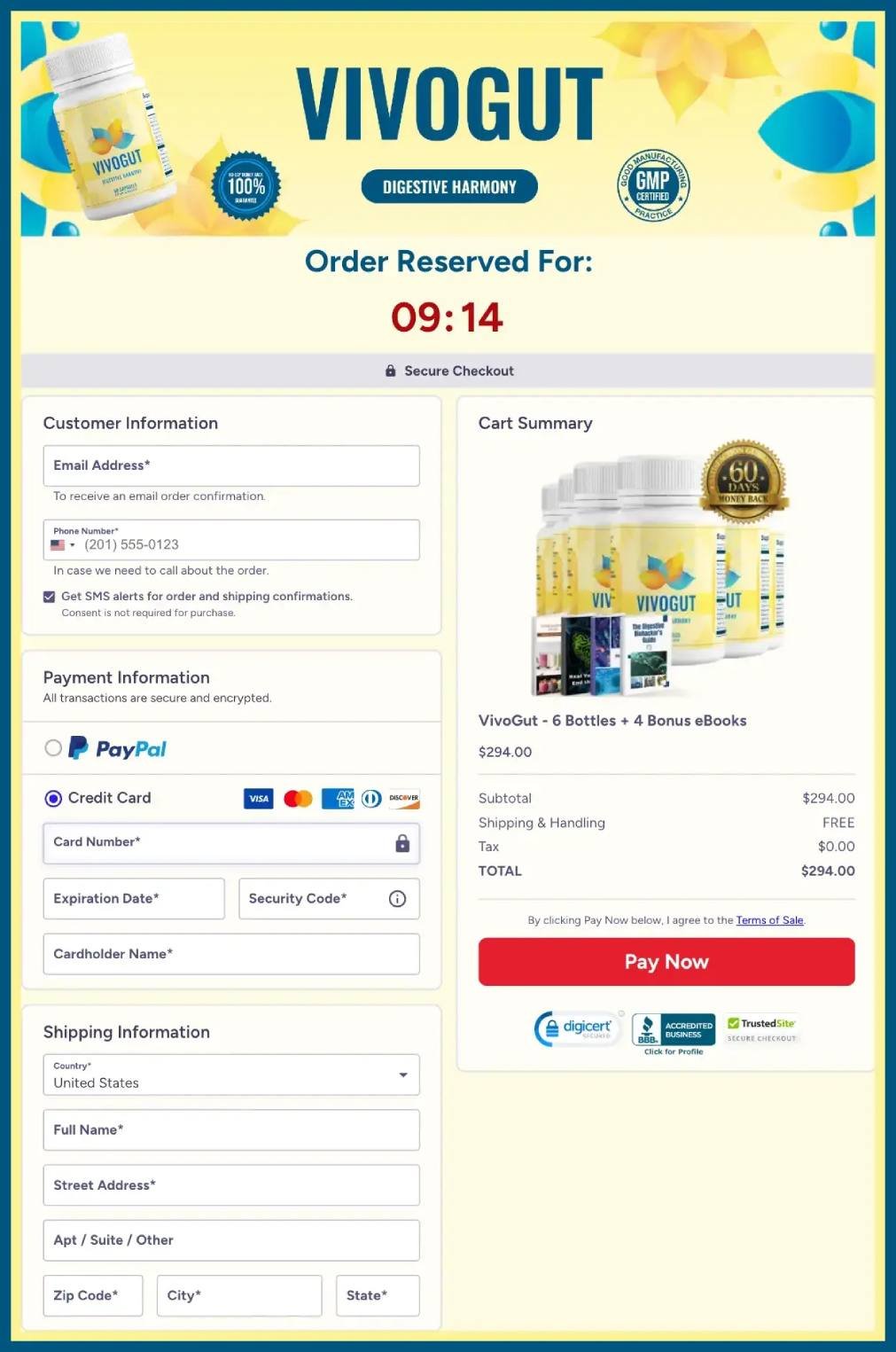 Safe and secure checkout process with protected payment system